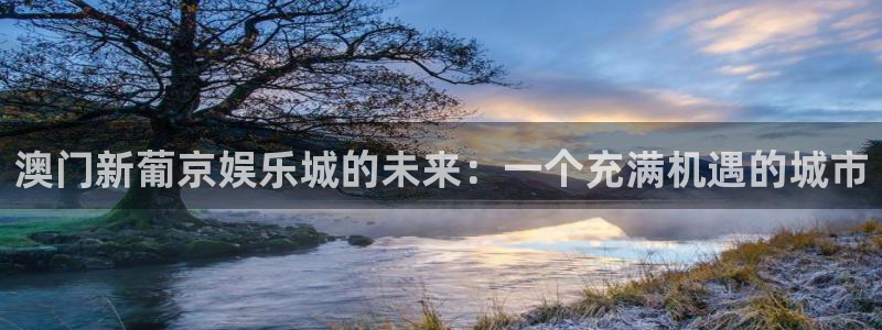 三牛娱乐：澳门新葡京娱乐城的未来：一个充满机遇的城市