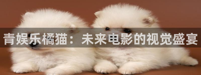 三牛娱乐：青娱乐橘猫：未来电影的视觉盛宴