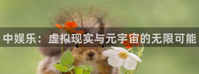 三牛娱乐：中娱乐：虚拟现实与元宇宙的无限可能